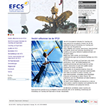 Europäische Föderation für Coaching und Supervision